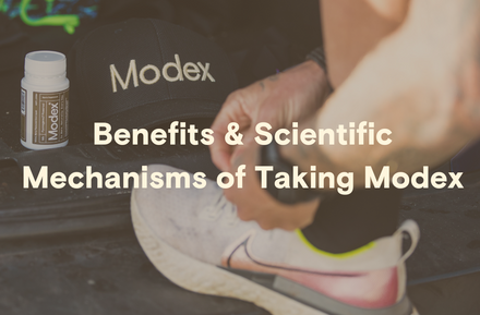 Benefits & Scientific Mechanisms of taking Modex