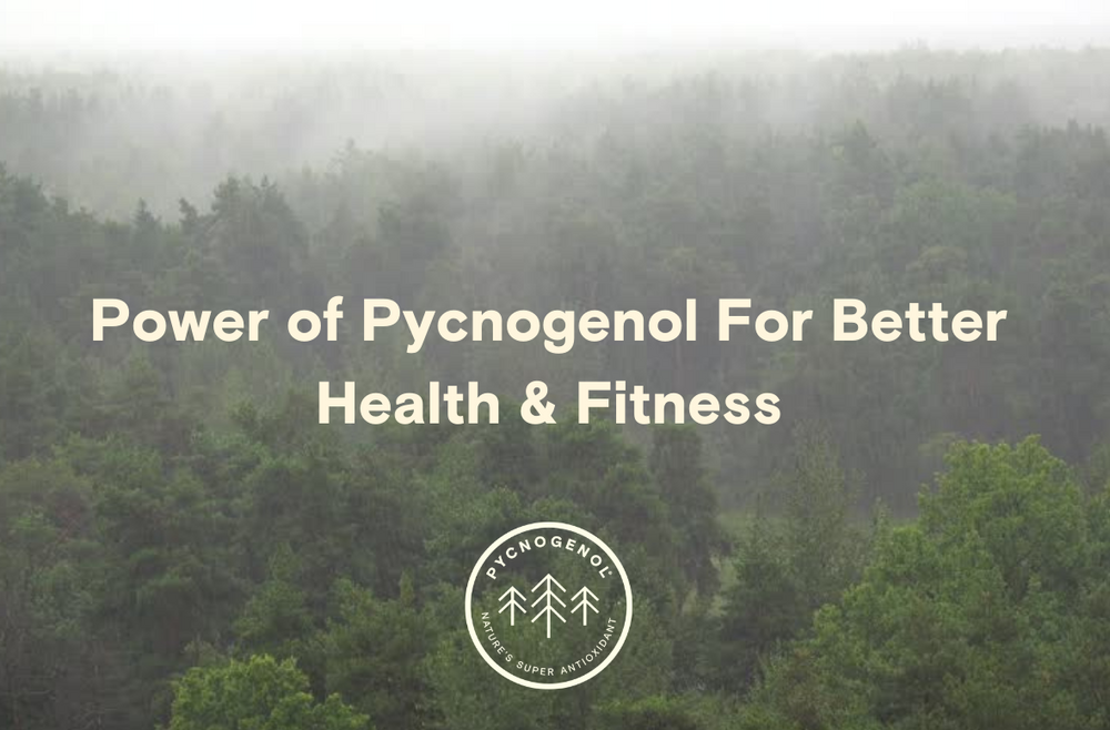 Pycnogenol for sport