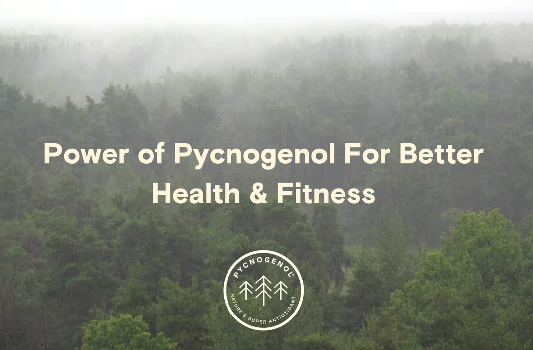 Pycnogenol for sport