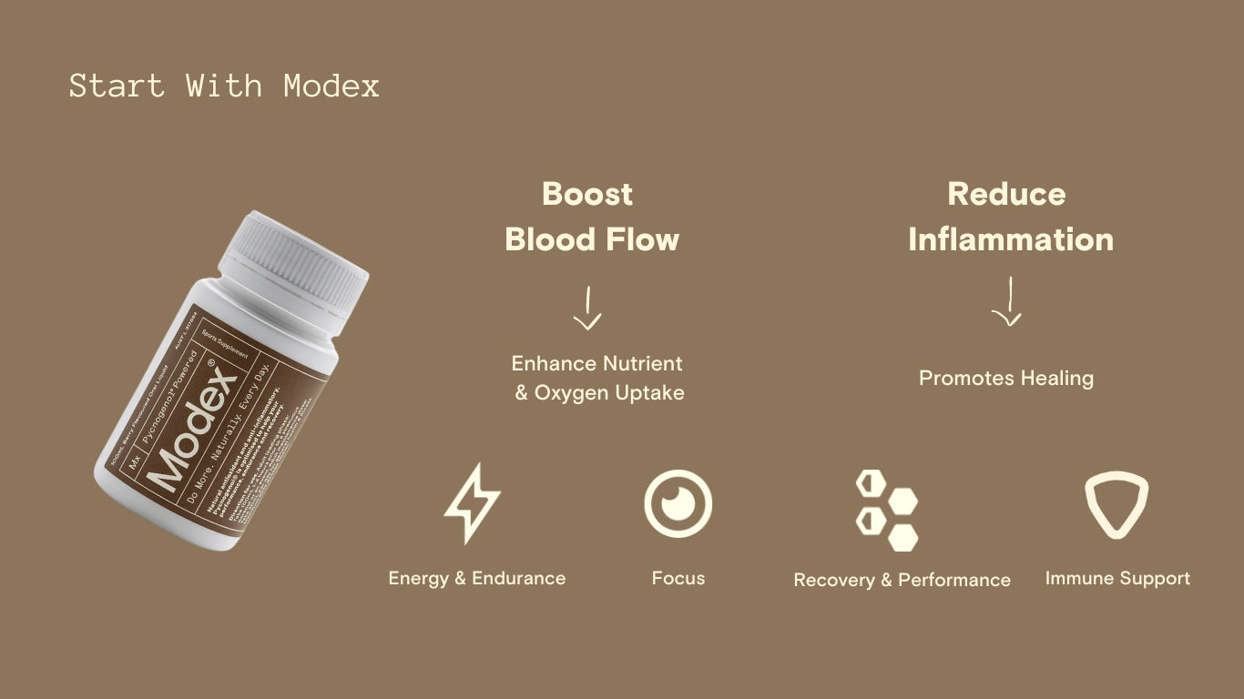 Official Website - Start with Modex® - For More Efficient Performance