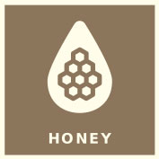 Official Website - Modex Daily - Natures Superfuel