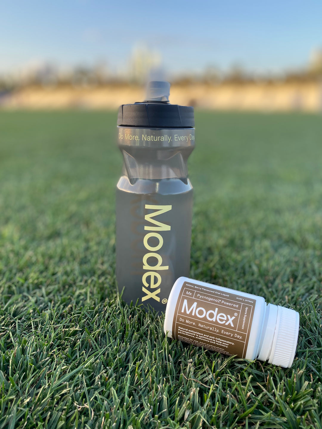 Modex Coffee Modex Drink Bottle